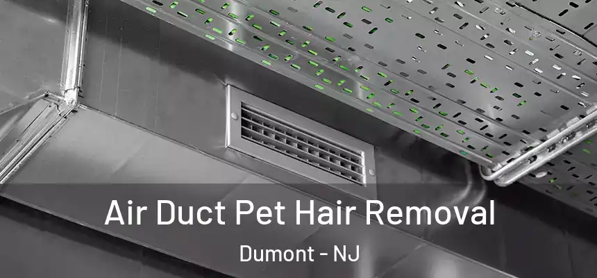  Air Duct Pet Hair Removal Dumont - NJ