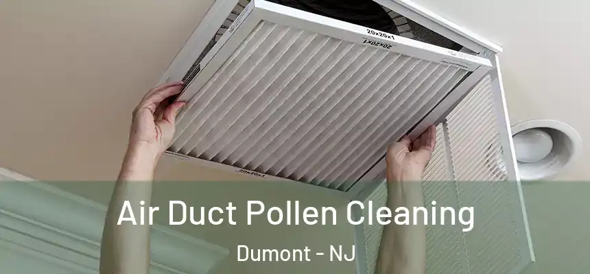 Air Duct Pollen Cleaning Dumont - NJ