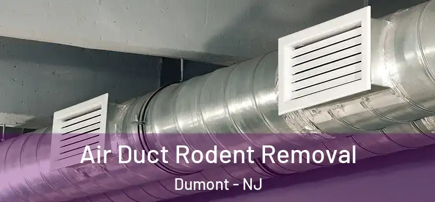  Air Duct Rodent Removal Dumont - NJ