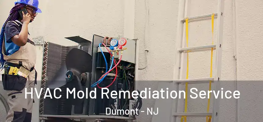  HVAC Mold Remediation Service Dumont - NJ