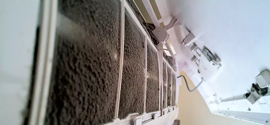 Preventive Air Duct Bacteria Removal in Dumont