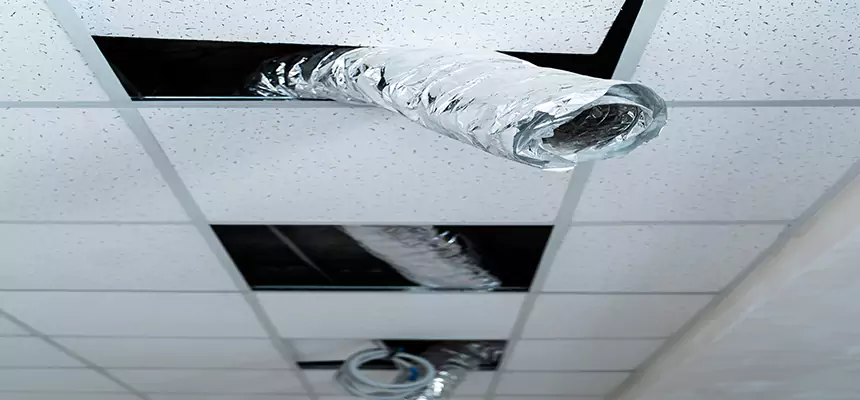 Affordable HVAC Sanitizing After Pest Removal in Dumont