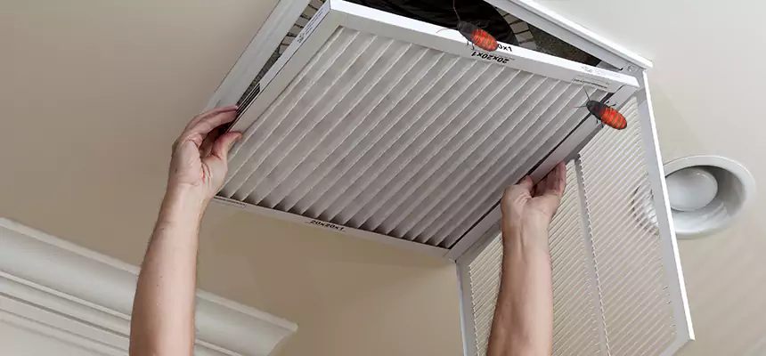 Our Insect Removal from Air Ducts Services in Dumont, NJ