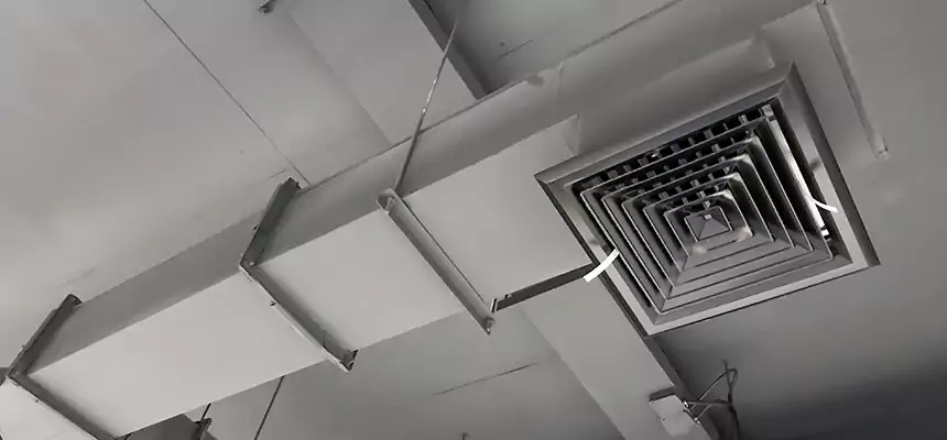 Our Rodent Droppings In Vents Services in Dumont, NJ