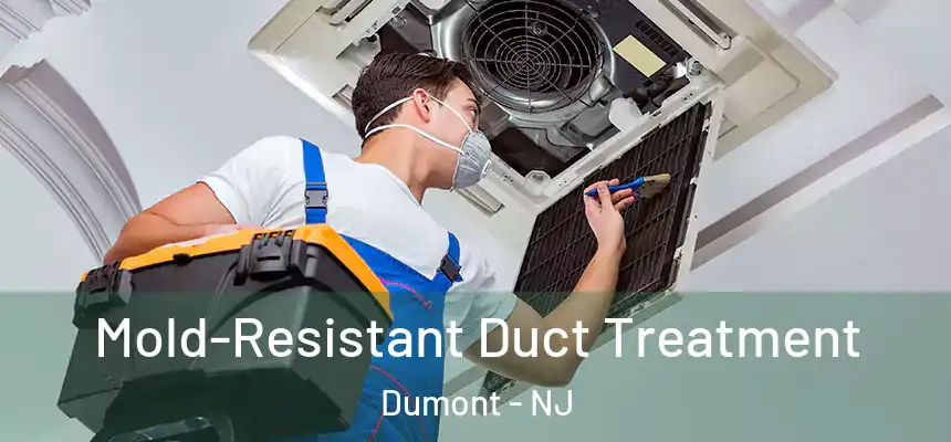  Mold-Resistant Duct Treatment Dumont - NJ