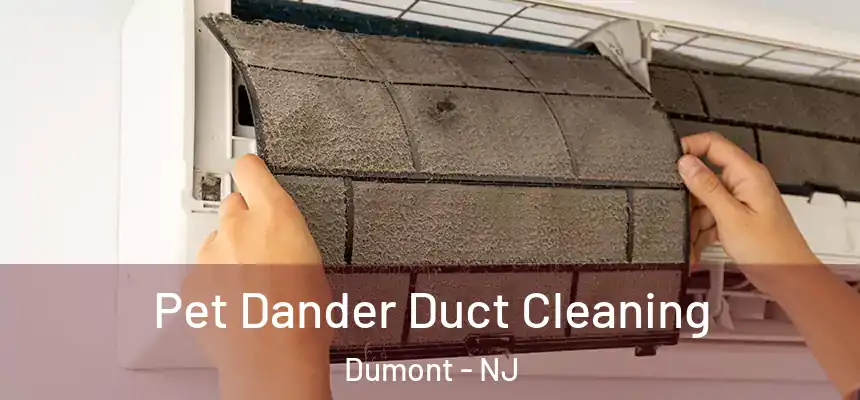  Pet Dander Duct Cleaning Dumont - NJ