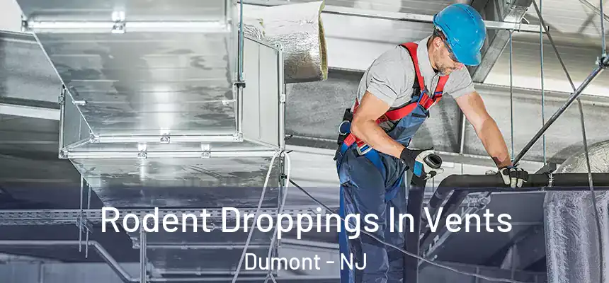  Rodent Droppings In Vents Dumont - NJ