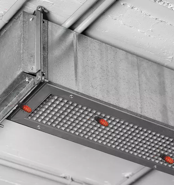 About Air Duct Cockroach Removal in Dumont, NJ