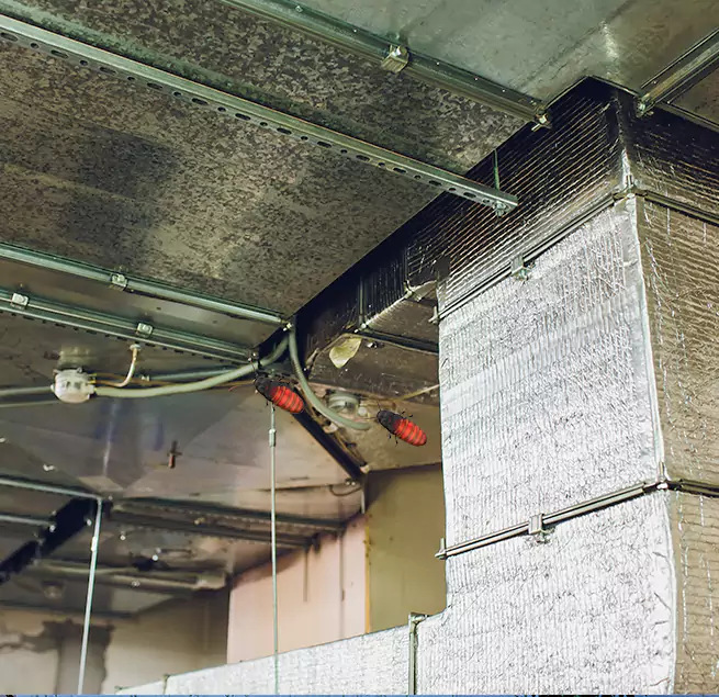 Why Homeowners & Businesses Trust Us in Dumont, NJ?