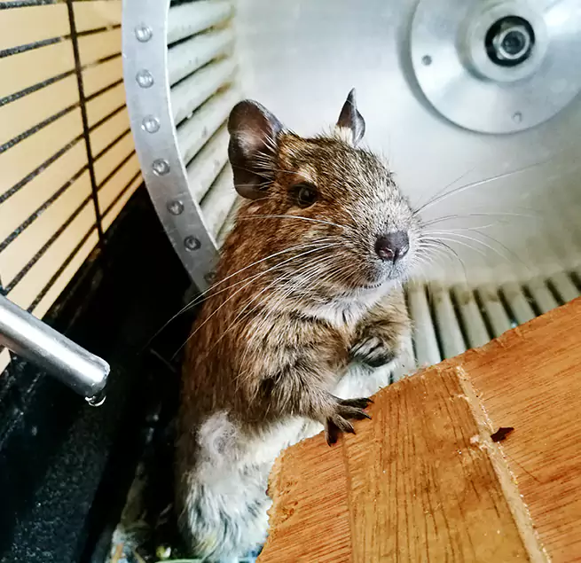 Why Homeowners & Businesses Trust Us Dumont, NJ