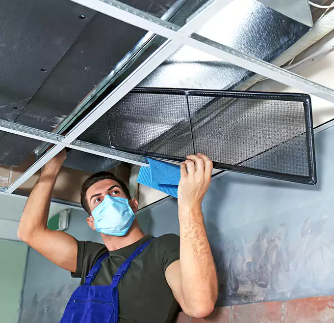 Why Homeowners Businesses Trust Us in Dumont, NJ